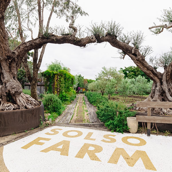 solso farm