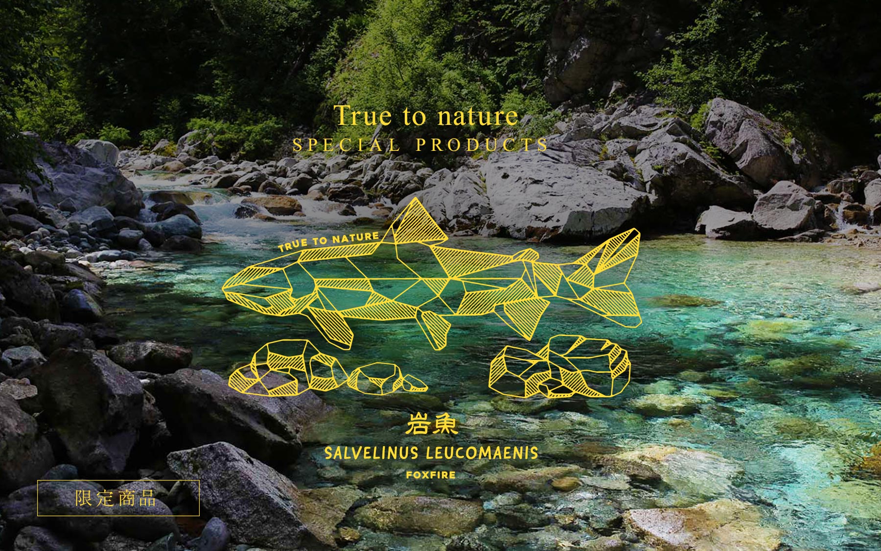 岩魚岩 True To Nature Special Products Foxfire